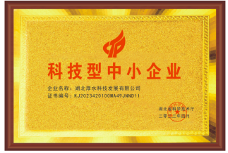 科技型中小企业